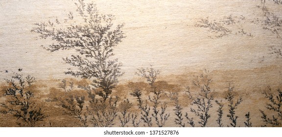 Dendrite Landscape Stone