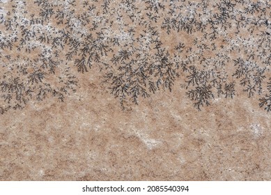 Dendrite, Minerals Rock Stone Background