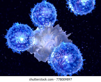 Dendritic cell  presenting an antigen to  T-lymphocytes. The antigen is a peptide from a tumor cell, bacteria or virus. They present antigens to lymphocytes activating an immune response. 3d rendering