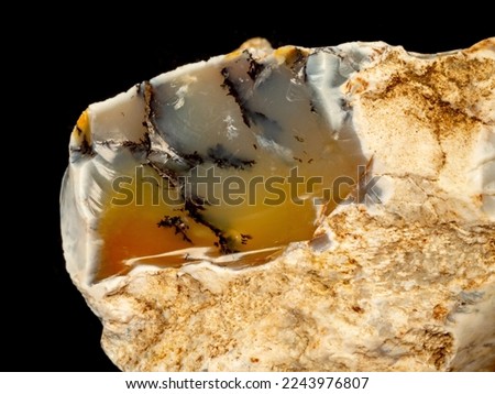 Dendritic opal. Opal on a black background. Opal is a hydrated amorphous form of silica. the mineral sample comes from Bohuskovice, Kremze, Czech Republic, Europe
