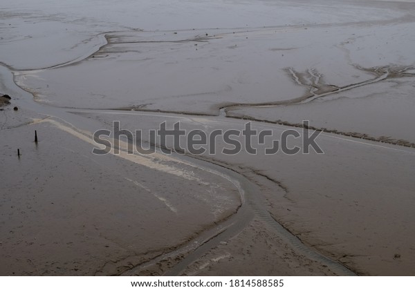 Dendritic patterns in mud tidal flats near\
Silverdale, in Cumbria,\
England.
