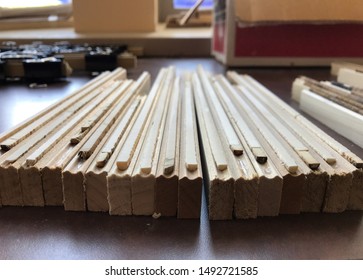 Dendrochronology Tree Cores Used For Climatology And Ecology Research