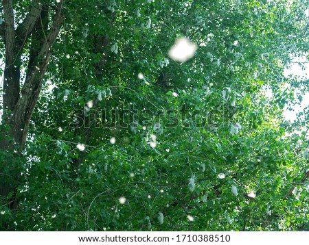 Similar – Foto Bild Blick durchs Fenster nach dem Regen