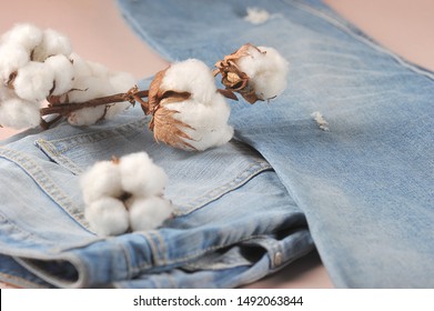 Denim Products On A Light Surface. Cotton Flowers Complement The Composition. The Concept Of The Production Of Clothing From Natural Materials. Close-up. 