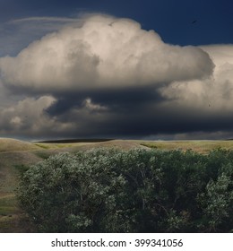 Dense cumulus clouds often appear before a thunder-storm. Probably there will be a rain.