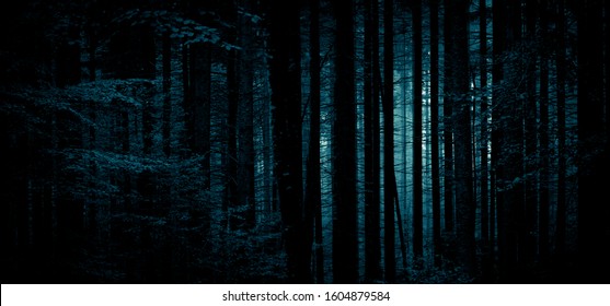 329,628 Forest tree night Images, Stock Photos & Vectors | Shutterstock