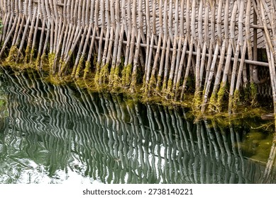 Dense diagonal wicker structure block passage for people, children, mammals, birds, and amphibians. Moss-covered stems and organic texture ensure visual integration in protected areas. selective focus