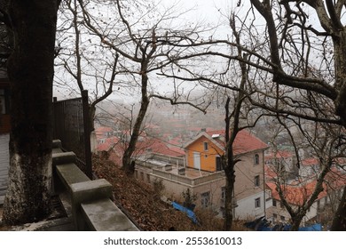 A dense fog envelops a hillside setting, revealing rooftops of a charming town nestled below. Leafless trees frame the scene, hinting at late autumn's grip on the landscape. - Powered by Shutterstock