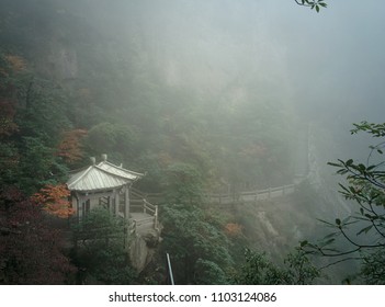 Dense fog and hunt in the beautiful Huangshan Mountain (Yellow)