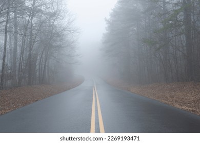 Dense fog on a rural road. - Powered by Shutterstock