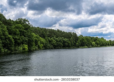 A dense forest of deciduous and coniferous trees lines the tranquil waters of a lake, under a sky filled with brooding clouds
