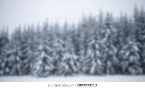 A dense forest of pine trees covered in fresh snow during a winter day. The scene evokes a sense of cold and tranquility.