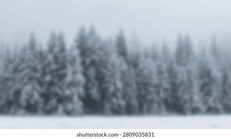 A dense forest of pine trees covered in snow during a winter day, with a soft focus effect.