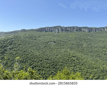 A dense forested hillside rising to a dramatic limestone escarpment with rocky pinnacles, Supramonte, Sardinia, Italy