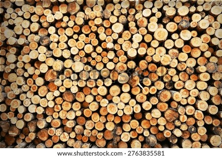 A dense, high-resolution photograph capturing the end faces of numerous cut pine logs stacked neatly together. The full-frame composition highlights the varying diameters, shapes, and the distinct patterns of growth rings on the exposed wood cross sections. The logs exhibit a rustic, golden-brown hue with subtle textures and radial cracks. This natural pattern is ideal as a raw material background, for logging industry concepts, or forestry-related themes.