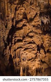 Dense layers of cascading flowstone and dripstone cover a cave wall inside Petralona Cave, Halkidiki, Greece, creating a rippled curtain-like pattern.
