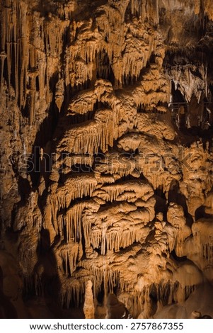 Dense layers of cascading flowstone and dripstone cover a cave wall inside Petralona Cave, Halkidiki, Greece, creating a rippled curtain-like pattern.
