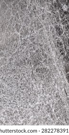 Dense Spider Web Texture Makro
