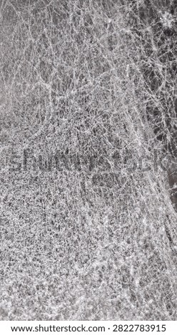 Dense Spider Web Texture Makro