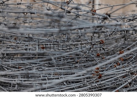 Densely coiled barbed wire forms a menacing barrier, a symbol of danger, war and confinement.