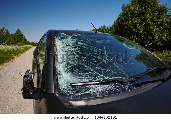 Dent on the\
rack at the windshield of the car, the glass is broken, the\
consequences of the accident with the\
animal