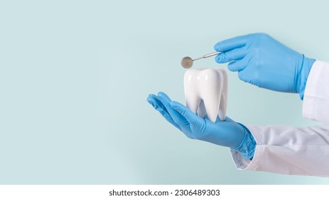 Dental clinic special offer banner. Dentist hands hold a healthy white tooth model and dentist mirror on a blue background. Copy space. Teeth care, dental treatment, tooth extraction, implant concept. - Powered by Shutterstock