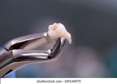 Dental equipment holding an extracted tooth - Shutterstock ID 439140979