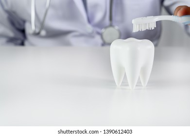 Dental Hygiene And Education Tooth, Health, Dentistry Concept