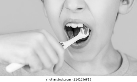 Dental Hygiene. Little Man Brushing Teeth. Happy Child Kid Boy With Toothbrush. Health Care, Dental Hygiene. Black And White.