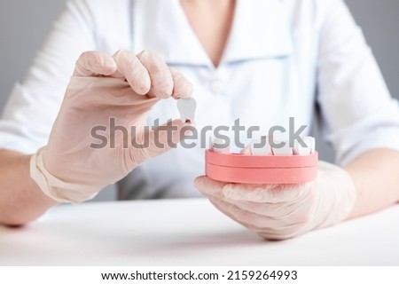 Dental implantation. Dentist holding tooth and jaw models. Restoration, implant installation concept. Doctor explaining process of damaged or missing teeth replacement to patient. High quality photo
