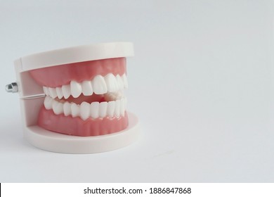 Dental model of human teeth. Medical banner. White smile, whitening. Brushing your teeth. Treatment of dental caries. Care for the oral cavity. A dental prosthesis. Implantation. - Shutterstock ID 1886847868