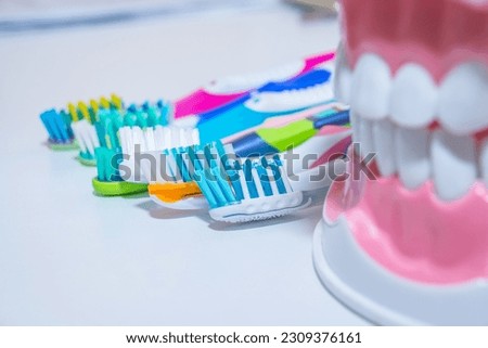 Dental model with toothbrush.whitening. tooth care. teeth healthy concept.various types of toothbrushes. beautiful smile concept.dental cut of the tooth, tooth model