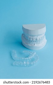 Dental Plaster Mold And Orthodontic Silicone Trainer