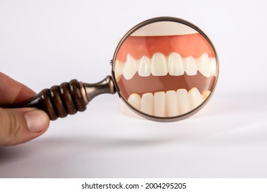 Dental Research With A Magnifying Glass On A White Background.