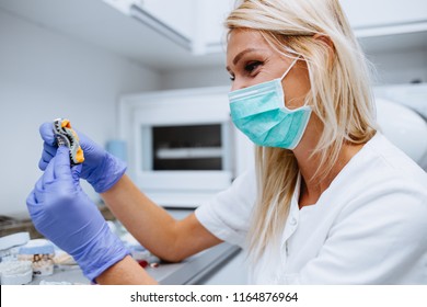 Dental Technician Making Dentures. Dental Prosthesis, Prosthetics Work.