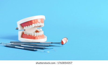 Dental tooth model with dentistry tools for teeth dental care and treatment on blue background. Oral dental hygiene concept. Copy space.