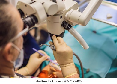 Dental Treatment With A Microscope. Woman Having Teeth Examined At Dentists. Appointment At The Dentist. Lifestyle, Real Life