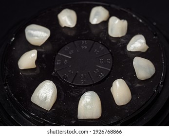 Dental Veneers On Adhesive Plate