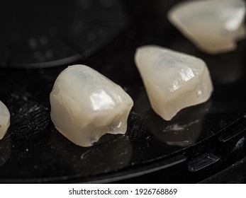 Dental Veneers On Adhesive Plate