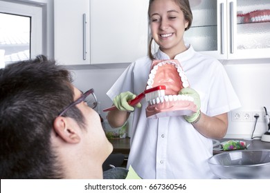 Dentist assistant shows how you brush your teeth