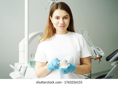 
dentist in blue medical gloves holds a mock jaw in the dental clinic - Shutterstock ID 1763256155