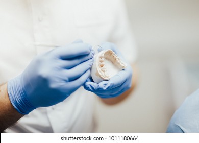 Dentist demonstrates teeth