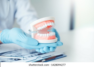 Dentist with denture learning how to teeth At dentists office