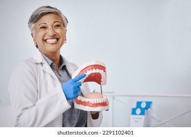 Dentist, dentures and portrait of senior woman for dentistry, medical and dental service in clinic. Healthcare, happy and female worker point to mouth mold for oral health, teeth cleaning and cavity - Powered by Shutterstock