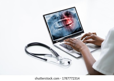 Dentist Doctor Looking At Teeth Xray Using Computer Software