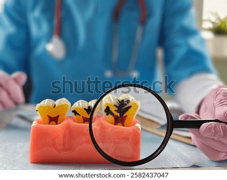 Dentist examines model teeth with decay under a magnifying glass in a bright clinic setting