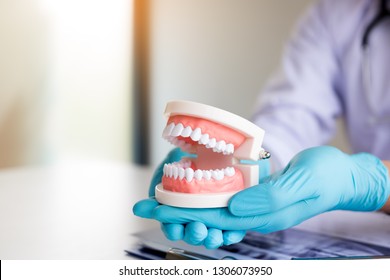 Dentist Holding Dentures In Office Room.