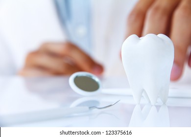 Zahnarzt, der Molar hält, Zahnbegriff