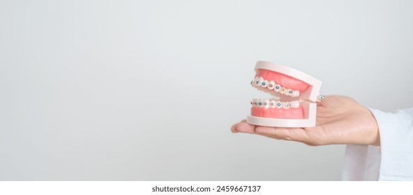 Dentist with Orthodontic tooth model and bracket or brace. Clean and Scrape off tartar. May Orthodontic Health Day, March Oral health, Dentist Day, False Teeth. Toothache and Children Dental Health - Powered by Shutterstock