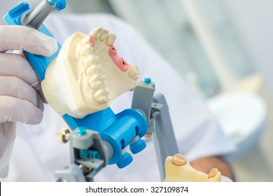 Dentist Preparing A Dental Mould